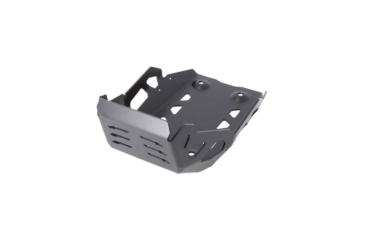 Protector de motor Negro. BMW G 310 GS (17-).