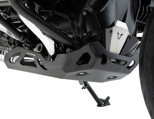 Protector de motor Negro. BMW R 1250 R / RS (18-).